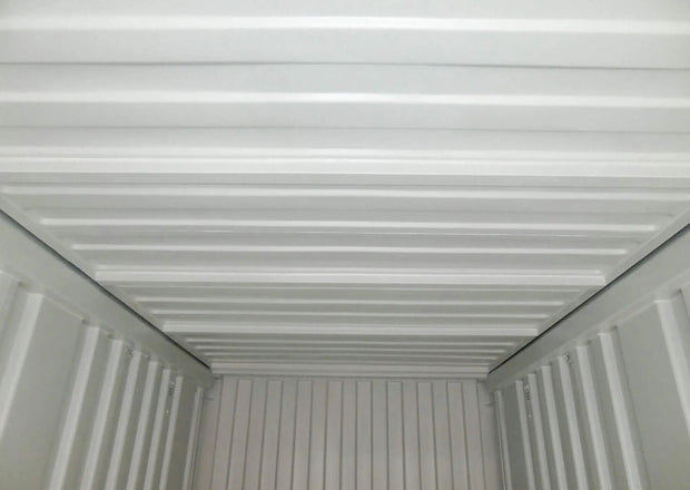 20 voet hardtop zeecontainer