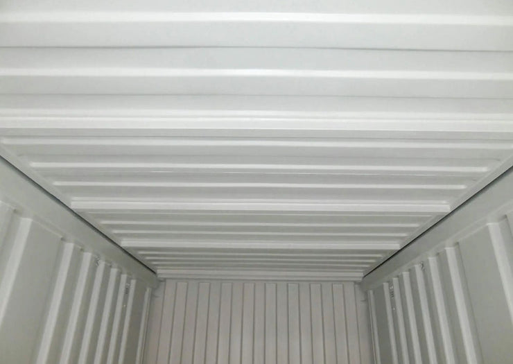 20 voet hardtop zeecontainer